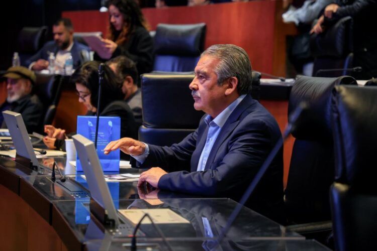 Asegurados 50 Kilos De Droga Y Detienen A Un Implicado En Morelia: Ssp