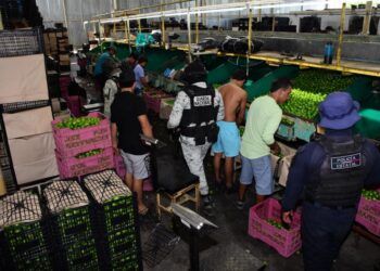 Fge Realiza Diligencias En El Lugar Donde Fue Ultimado El Alcalde Carlos Manzo