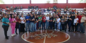 Borrador Automático