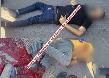 Borrador Automático