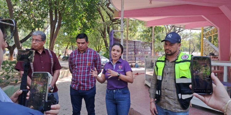 ¡Golpe Contra El Narco En Michoacán: Defensa Y La Guardia Civil Desmantelan Un Peligroso Grupo Armado En Buenavista!