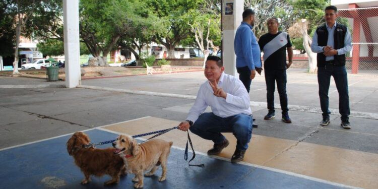 En Parácuaro, Accidente De Camioneta En Puente De Riego Sin Dejar Heridos
