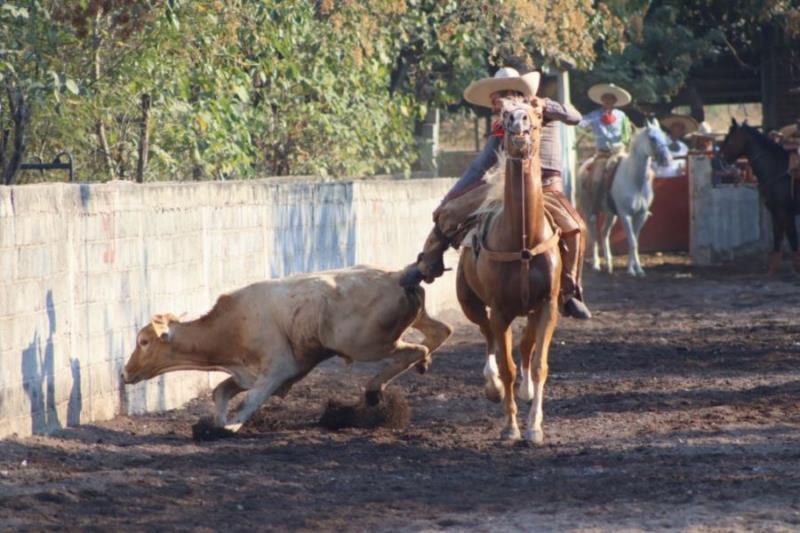 Miércoles 31, último día del programa Emplaca tu moto: Luis Navarro