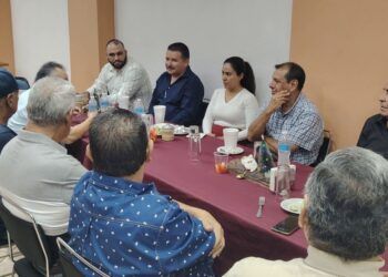 Borrador Automático