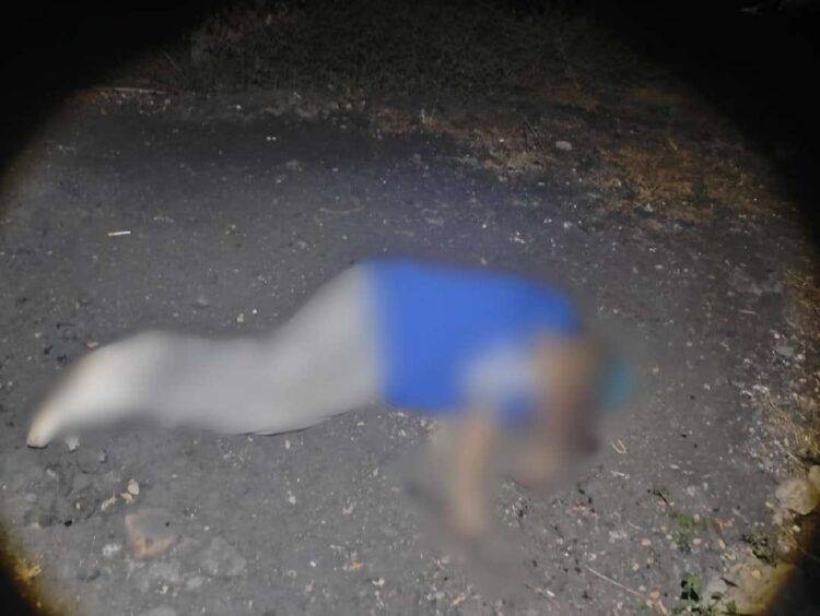 Lo Asesinan En La Zapata - El Día De Michoacán