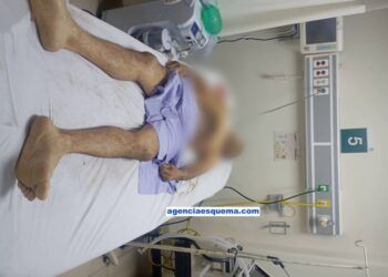 Borrador Automático