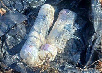 Bomberos De Apatzingán Controlan Incendio En Camioneta Cargada Con Madera