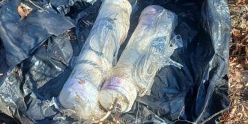 Ssp Desactiva Dos Artefactos Explosivos En Buenavista 2 Bomberos De Apatzingán Controlan Incendio En Camioneta Cargada Con Madera