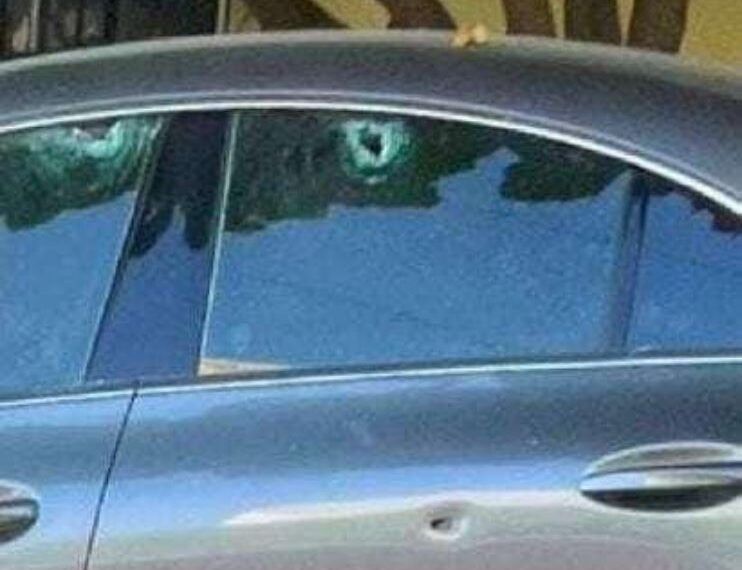 Borrador automático