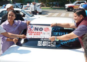 Borrador Automático