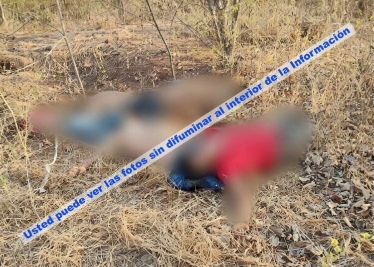 6 Ejecutados En Apatzingan Desemfoque - El Día De Michoacán