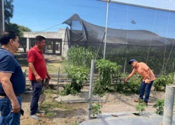 Nuevas Patrullas Todo Terreno Refuerzan Presencia De Guardia Civil En Zonas De Difícil Acceso: Ssp