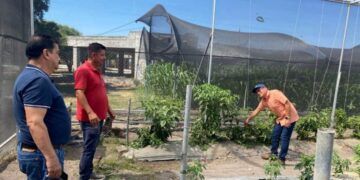 ¡El Campo Se Convierte En Aula! El Tecnm Apatzingán, El Ingeniero Fidel Báez Benito, Revoluciona La Formación Práctica 1 Nuevas Patrullas Todo Terreno Refuerzan Presencia De Guardia Civil En Zonas De Difícil Acceso: Ssp