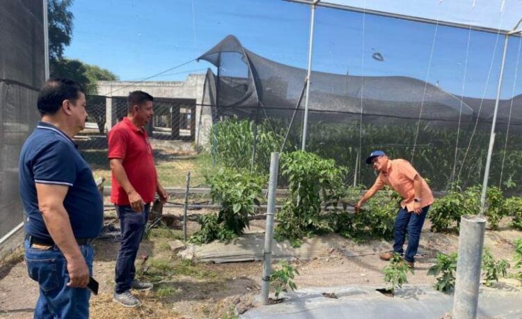 El Tecnm Apatzingan El Ingeniero Fidel Baez Benito Revoluciona La Formacion Practica 1 - El Día De Michoacán
