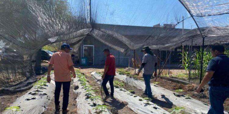 Nuevas patrullas todo terreno refuerzan presencia de Guardia Civil en zonas de difícil acceso: SSP