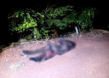 Santiago Acahuato: Fe, Tradición Y Corazón De Apatzingán