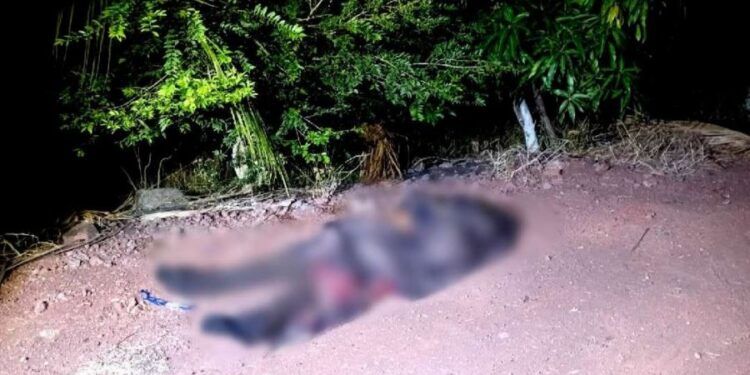 Santiago Acahuato: Fe, Tradición Y Corazón De Apatzingán