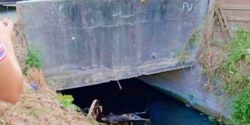 Descubren Cadáver En Avanzada Descomposición Cerca De Escuela En Guacamayas