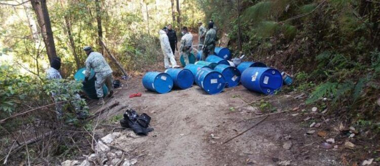 Localizan Y Destruye Laboratorio Clandestino En Madero - El Día De Michoacán