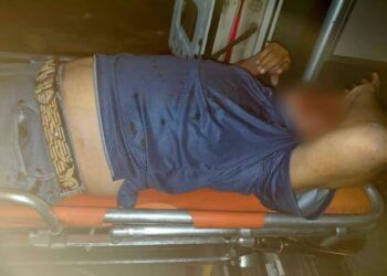 Detectan Primer Caso De Gusano Barrenador En Michoacán