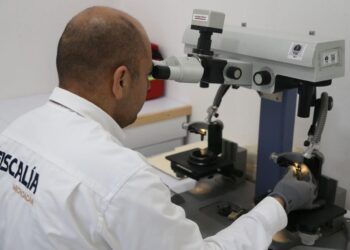 Mejora De Condiciones Laborales Para Garantizar Un Servicio Más Eficiente: Anuncia Ctp Pago De Adeudos Y Aumento Salarial Al Personal