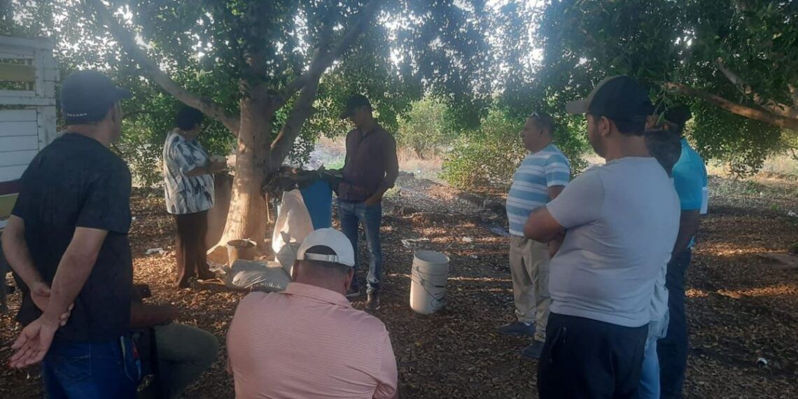 Presidenta Irma Moreno Impulsa La Transformación Del Campo En Buenavista Con El Programa Agrosano 2026 19 Talleres Grosano Buenavista - El Día De Michoacán