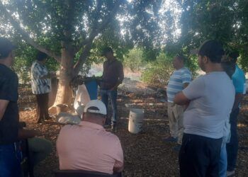 «El Bótox» Habría Confesado Ante Un Testigo El Asesinato Del Líder Limonero Bernardo Bravo