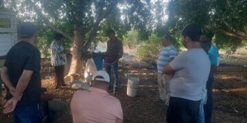 Presidenta Irma Moreno Impulsa La Transformación Del Campo En Buenavista Con El Programa Agrosano 2026 25 «El Bótox» Habría Confesado Ante Un Testigo El Asesinato Del Líder Limonero Bernardo Bravo