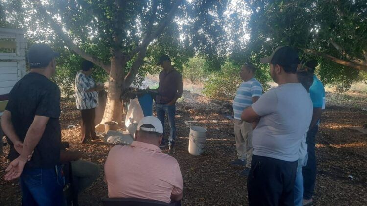 Talleres Grosano Buenavista - El Día De Michoacán