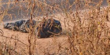 En Apatzingán, Clausuran Palenque Clandestino Operaba Bajo La Fachada De Cancha De Voleibol