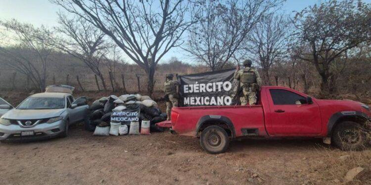 Madre E Hijo, Falsos Cirujanos, Dejan Estela De Destrozos Corporales En Morelia