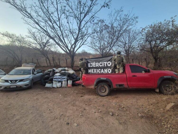 Aseguran Mas De Una Tonelada De Presunta Marihuana En Operativo Federal En Turicato - El Día De Michoacán