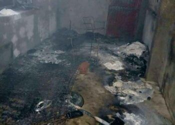 Madre E Hijo, Falsos Cirujanos, Dejan Estela De Destrozos Corporales En Morelia