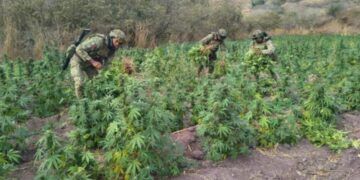 ¿Te Despidieron? El Centro De Conciliación Laboral Garantiza Tus Derechos