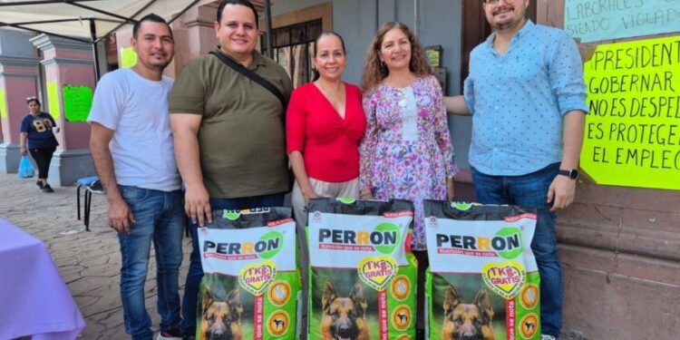 ¡ZAMORA EN LLAMAS: Otra masacre y el gobierno municipal panista de brazos cruzados! Ocho ejecutados en 48 horas de terror