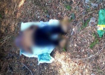 En Buenavista, Pescador Muere Ahogado Tras Enredársela La «Atarraya» En El Cuello