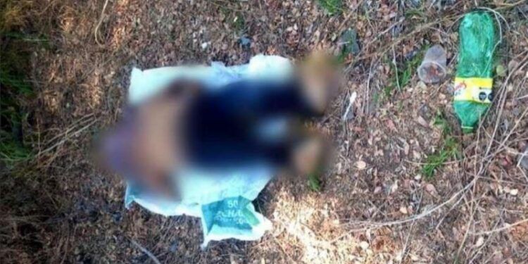 En Buenavista, Pescador Muere Ahogado Tras Enredársela La «Atarraya» En El Cuello