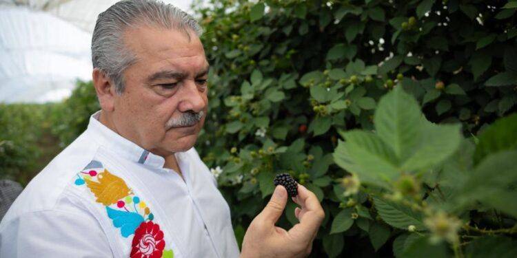 ¿Te Despidieron? El Centro De Conciliación Laboral Garantiza Tus Derechos