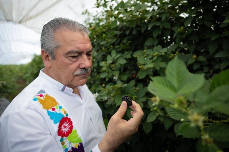 Firme Moron En Su Compromiso Por Impulsar El Campo Michoacano - El Día De Michoacán