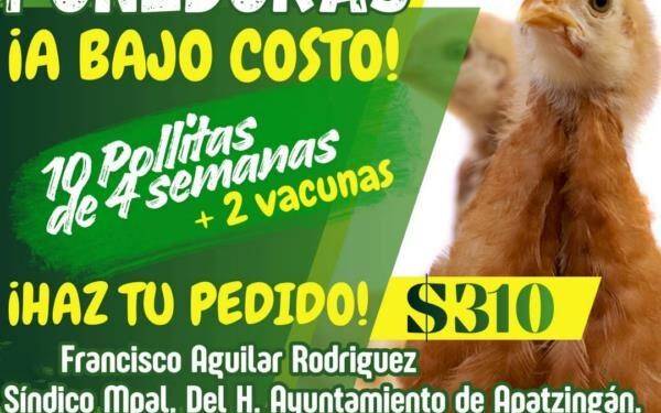 ¿Te despidieron? El Centro de Conciliación Laboral garantiza tus derechos