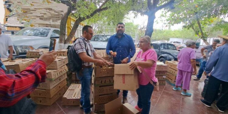 ¡PLUMAS, CORAZÓN Y SOLIDARIDAD! Francisco Aguilar y su equipo entregan 2,400 pollitas ponedoras para reactivar la Economía Rural