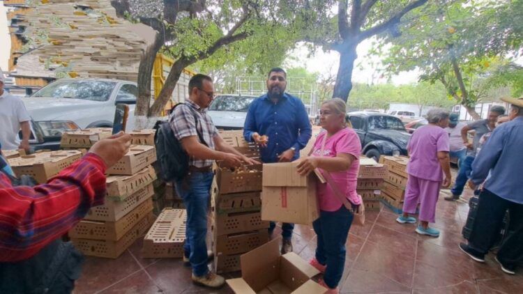 Francisco Aguilar Y Su Equipo Entregan 2400 Pollitas Ponedoras 1 - El Día De Michoacán