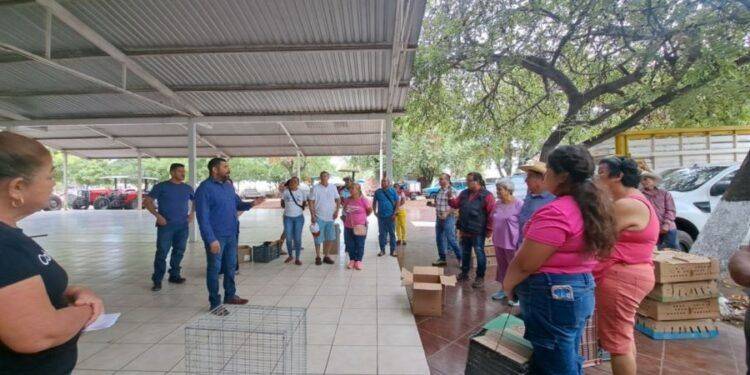 ¡PLUMAS, CORAZÓN Y SOLIDARIDAD! Francisco Aguilar y su equipo entregan 2,400 pollitas ponedoras para reactivar la Economía Rural