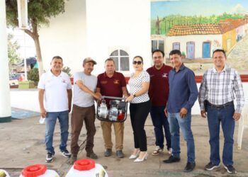 El Iem Recupera Más Del 86 % De Las Cajas Paquete Electoral Del Proceso Judicial