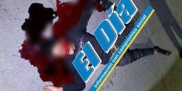 Ladrón De Motos A Mano Armada Se Mata Al Estrellarse Durante Persecución En Apatzingán 1 ¡Día Histórico Para La Umsnh! Se Crean Nuevas Licenciaturas Y Se Actualizan Programas Académicos