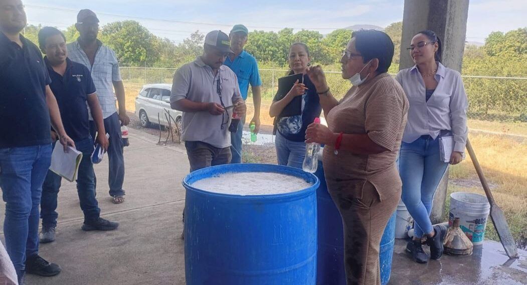 Presidenta Irma Moreno Impulsa Talleres Que Transforman El Campo Con Insumos Orgánicos 19 Realizan Talleres De Insumos Organicos A - El Día De Michoacán