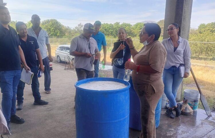 Realizan Talleres De Insumos Organicos A - El Día De Michoacán