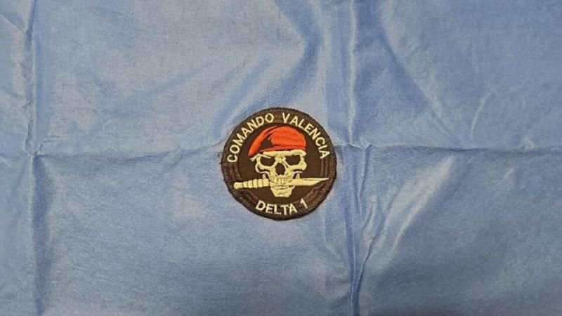 Insignias - El Día De Michoacán