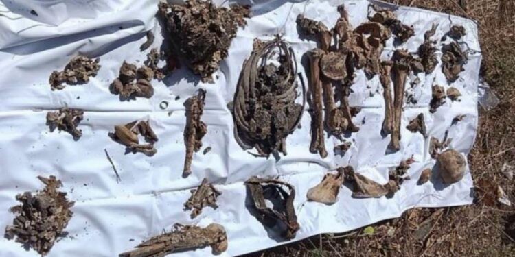 ¡Macabro Hallazgo En Jacona! Localizan Narco-Fosas Con Restos Humanos; Resalta Un Cráneo Humano