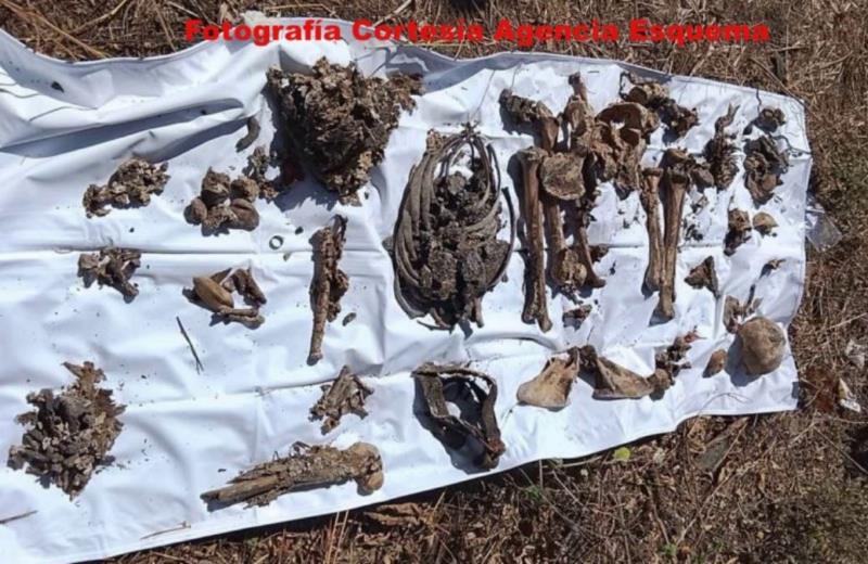 ¡Macabro Hallazgo En Jacona! Localizan Narco-Fosas Con Restos Humanos; Resalta Un Cráneo Humano 19 Narco Fosas En El Cerro De La Cruz De Jacona - El Día De Michoacán